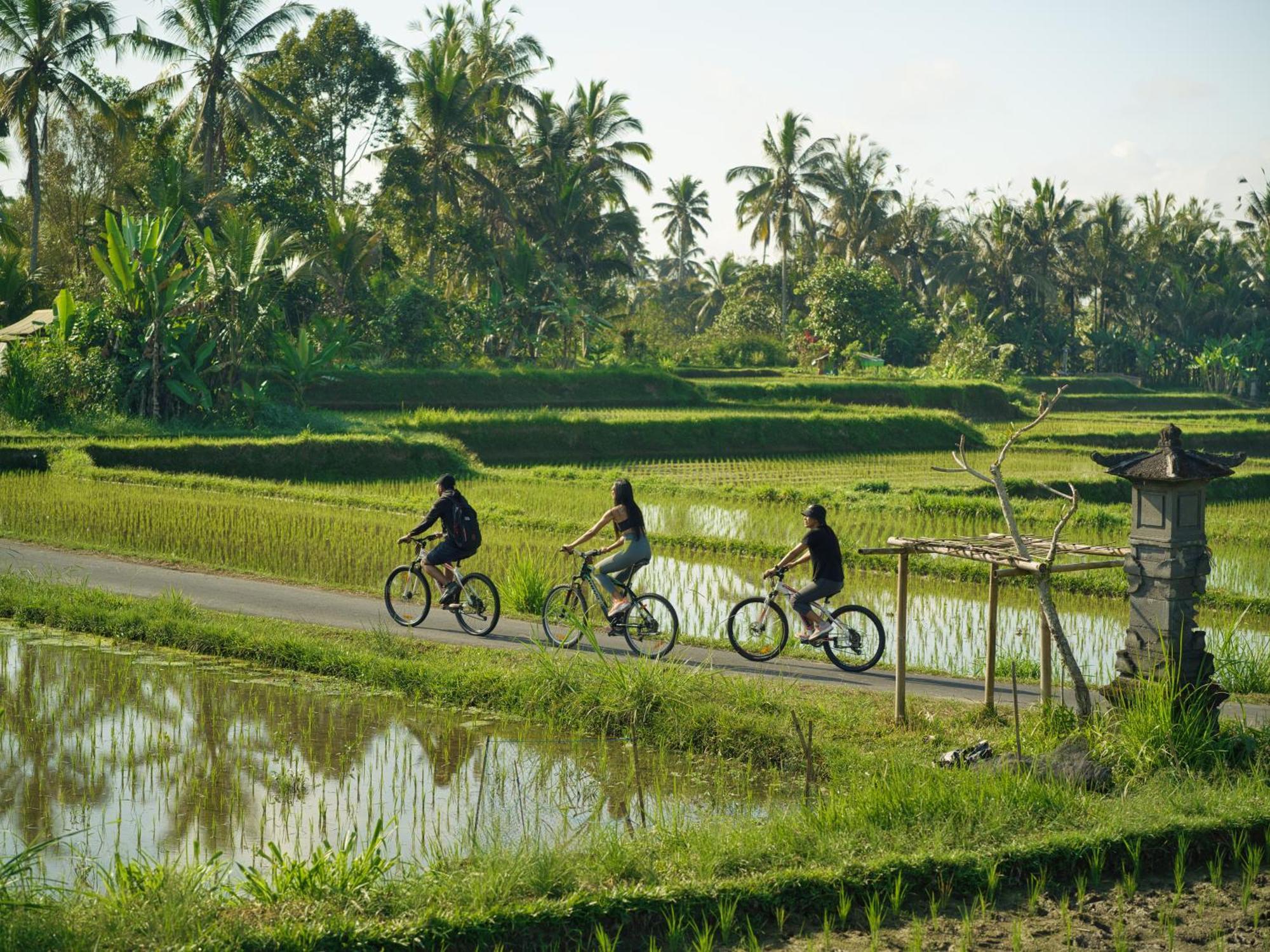 Nandini Jungle Resort&Spa Bali Ubud Exterior foto
